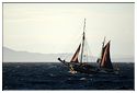 TSR Med 2013 Ciutat Badalona