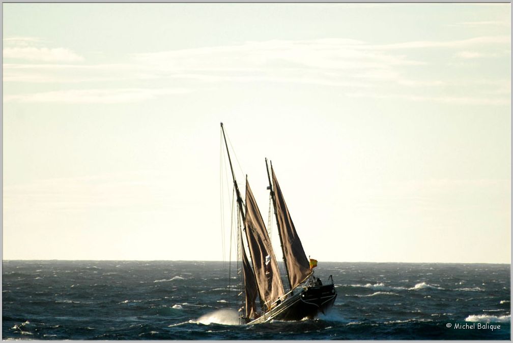TSR Med 2013 Ciutat Badalona