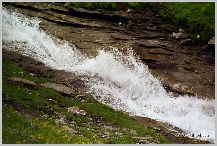 Torrent