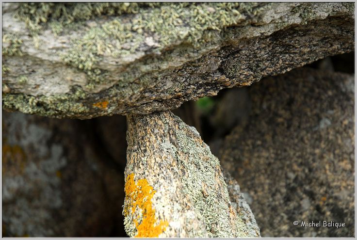 d  Dolmen Planche à Puare 2010