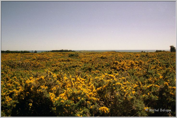 La Lande