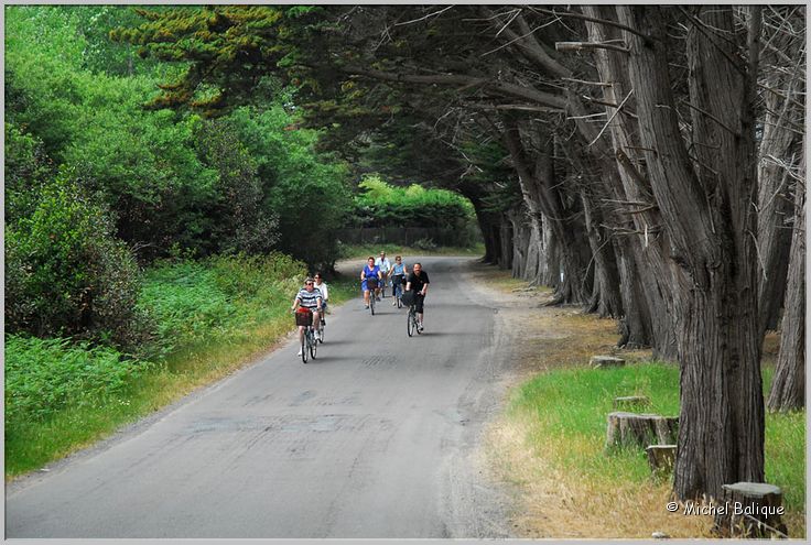 b Chemin 2010
