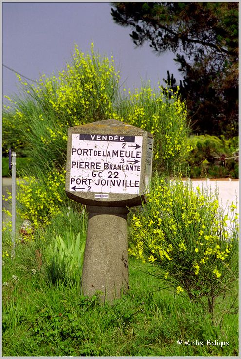 b Borne 2004