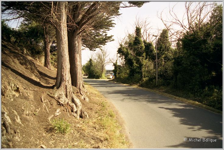 Le port de La Meule 2006